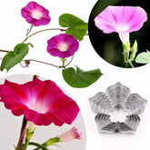 PETUNIA FLOWER CUTTERS SET A452